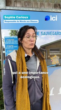 Le Marais aux Oiseaux au secours des hérissons