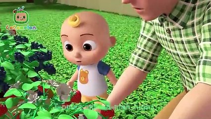 Apples and Bananas Song! 🍎  CoComelon Nursery Rhymes & Kids Songs