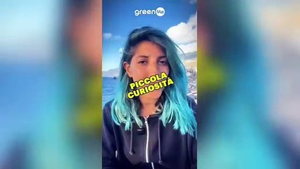 Meduse? No! Sono tornate le Velelle