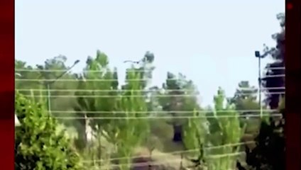 Dev kartal çocuğu annesinin yanında kaçırmaya çalıştı