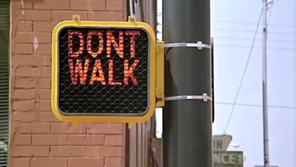 Rain Man (1988) - Bande annonce