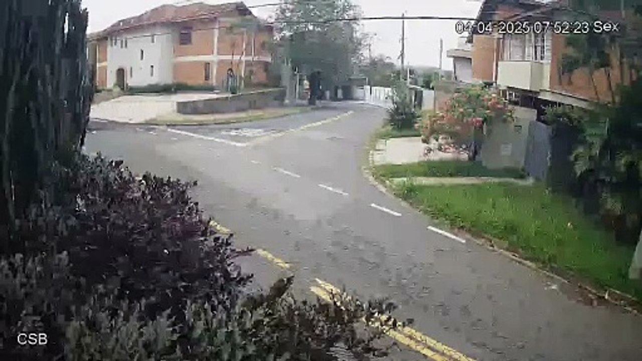 WhatsApp Video 2025-04-04 at 17.19.02