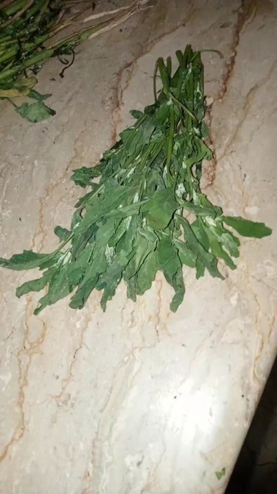 guys what is this