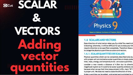 Scaler and vector quantities/addition of vectors/adding of vector quantities