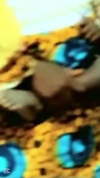 Amadou Bagayoko, du duo Amadou et Mariam est mort