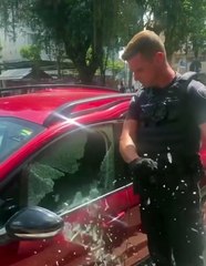 Herói! Guarda quebra vidro de carro para resgatar cachorro; assista