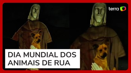 Cristo Redentor ‘abraça’ e ‘carrega’ cachorro caramelo em projeção por adoção responsável