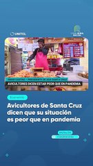 Avicultores de Santa Cruz dicen que su situación es peor que en pandemia