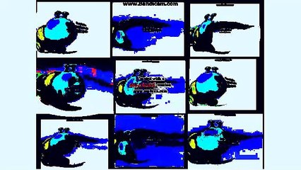 Complete Collection of G Major Videos in G Major 8 🎶