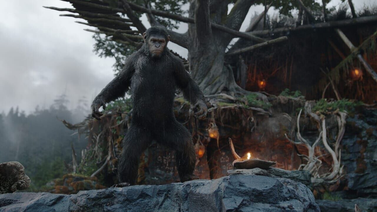 La planète des singes : l'affrontement