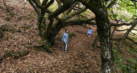 INCERTEZAS - FILME COMPLETO