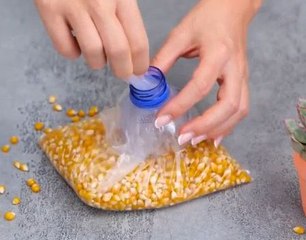 Brilliant Ways to Repurpose Plastic Bottles!