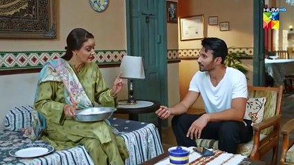 Judwaa - Episode 26 - 4th April 2025 [ Aina Asif & Adnan Raza Mir ] - HUM TV