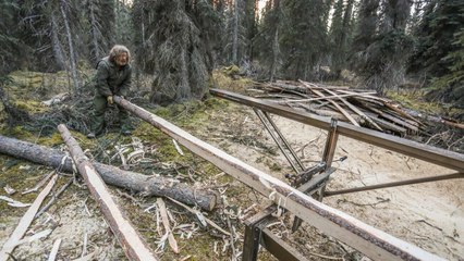 Seuls face à l'Alaska
