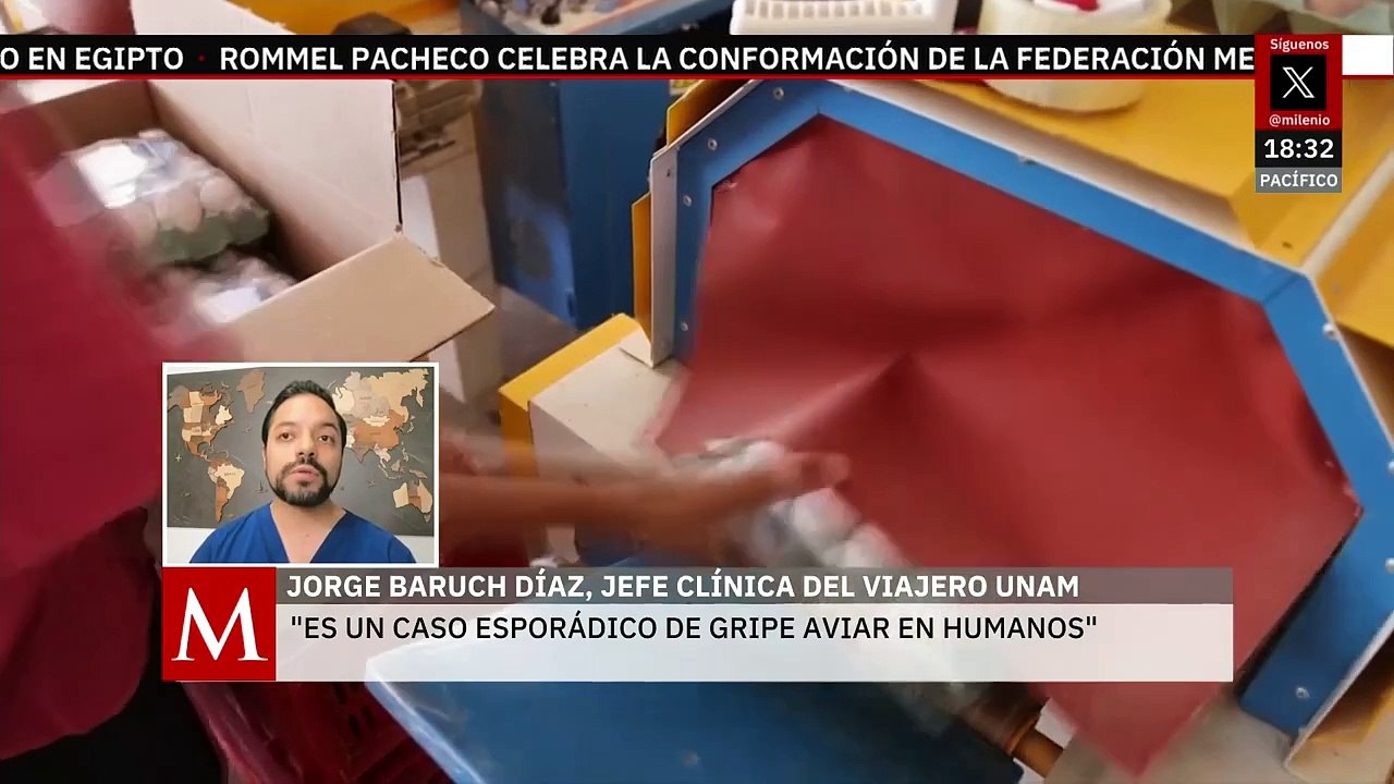 Primer caso de gripe aviar en México: ¿cuáles son los riesgos de esta enfermedad? Doctor responde