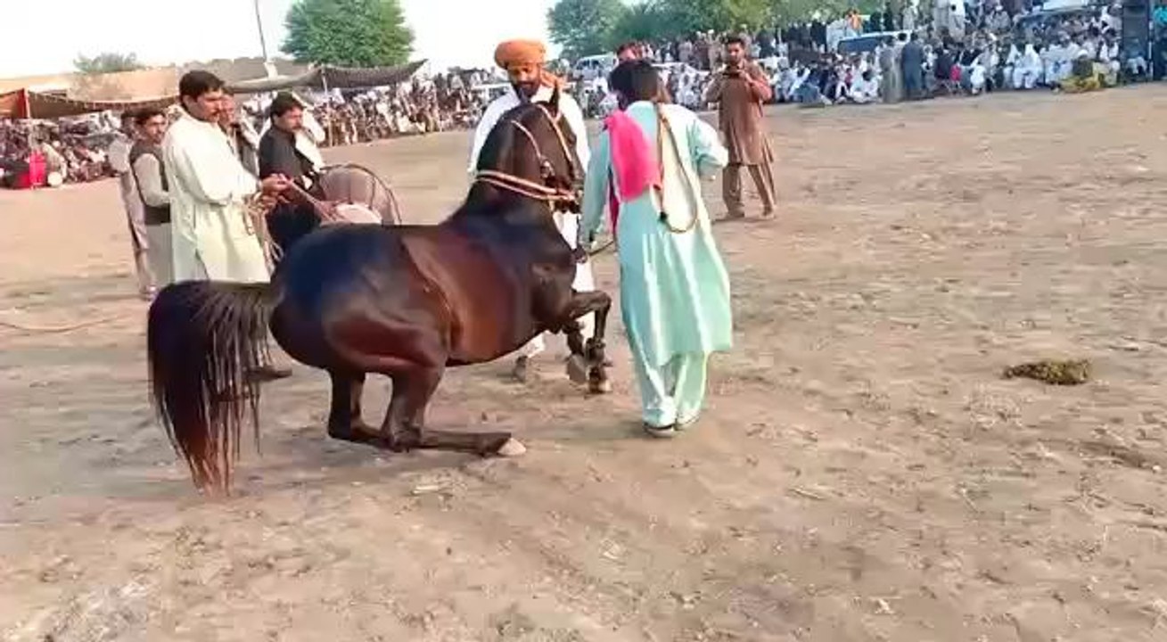 house dance