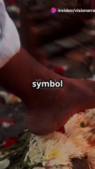 #April5 #InternationalDayOfConscience #FirewalkDay #PillowFightDay #Mindfulness #CourageToChange #FunWithPurpose #GlobalDays #FeelTheFire #PeaceAndPillows #PositiveVibes #DailyInspiration #YouTubeShorts #ShortsTrending #DidYouKnow