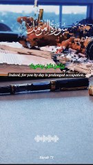 “Surah Mulk – The Protector from the Grave’s Punishment” | Islam Insights