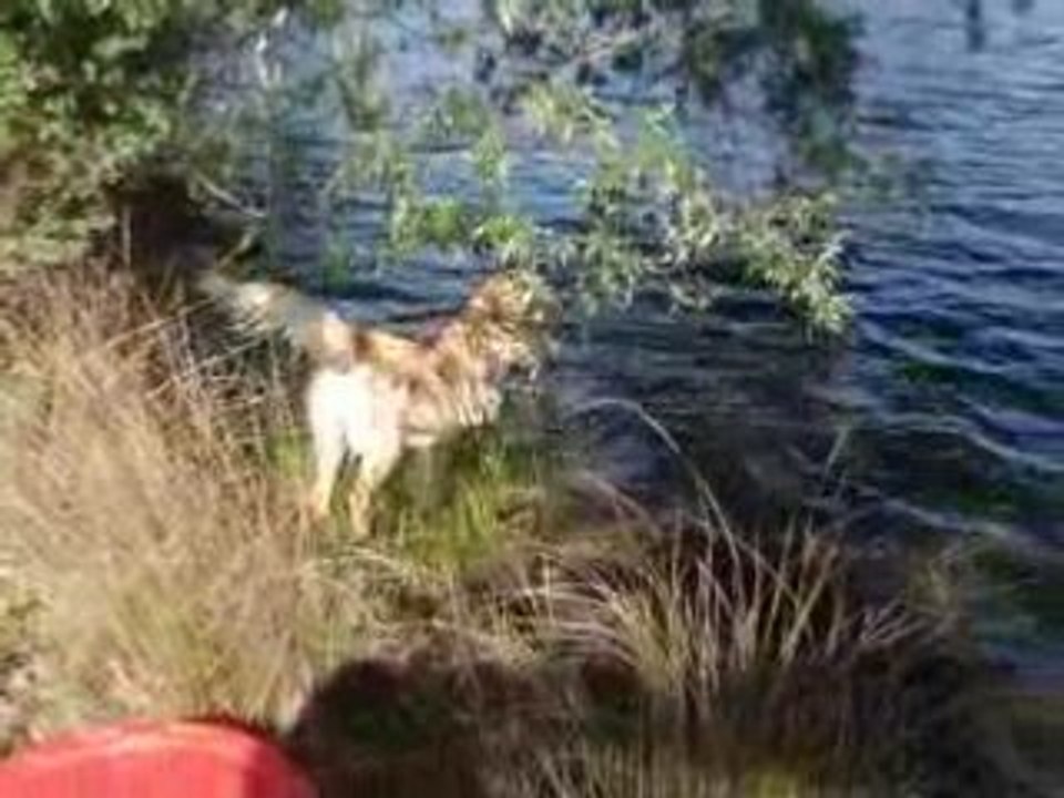 Belly et ses premieres brasses !! mai 08