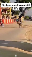 Child is riding a donkey