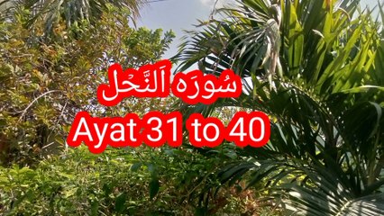 Surah An Nahl | Quran Surah 16 | Tilawat Quran pak | Quran recitation | Quran verses |