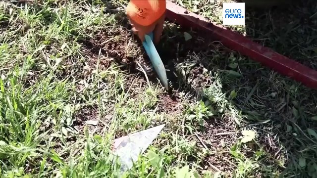 Las organizaciones humanitarias piden más acción mundial contra las minas antipersona