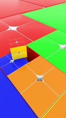 Beautifying &Entertainment Video