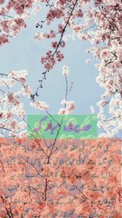 !شیطان سے محفوظ رہیں