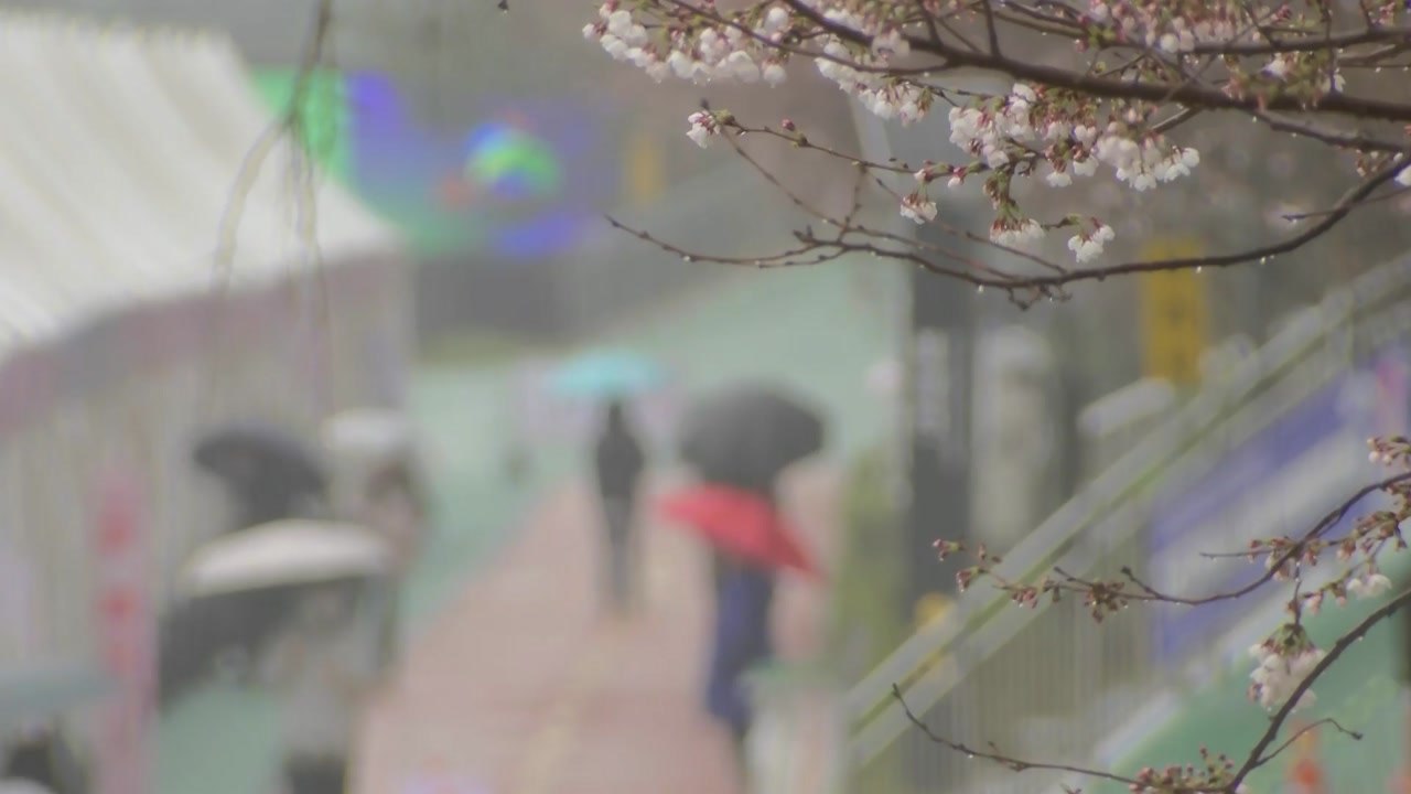 [날씨] 주말, 전국 '단비'...바람 불며 종일 쌀쌀한 날씨 / YTN