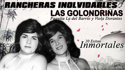 LAS GOLONDRINAS CANCIONES AÑEJAS 20 EXITOS PEGADITOS - RANCHERAS INMORTALES DE LAS GOLONDRINAS