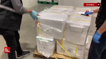 İstanbul Havalimanı'nda 455,2 kilo uyuşturucu ele geçirdi