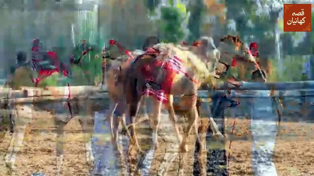 Why Camel Eat Snake?# اونٹ سانپ کیوں کھاتا ہے؟ # Surprising Scientific Facts About Camels#Qissa Kahaniyan