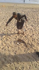 The fight between the weasel and the snake