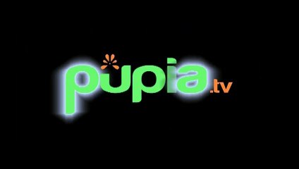 Muzzarelli - I tecnici hanno fatto brillare la campata danneggiata (05.04.25)