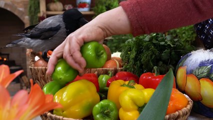 Savory Chicken Bowls with Fresh Veggies - From Farm to Table