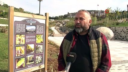 Türkiye'nin masal diyarına benzeyen cennetinin ünü dünyaya yayıldı