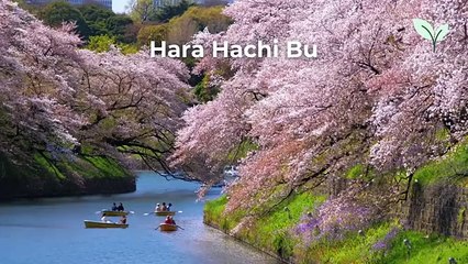 Japanese Oldest Doctors： Just Eat These Every Day and You Will Live to 100