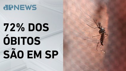 Brasil tem mais de 500 mortes por dengue