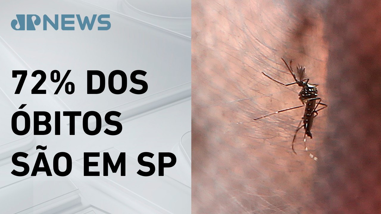Brasil tem mais de 500 mortes por dengue