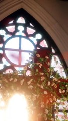 熱播爽劇【青青子衿】（上集）王凱沐、黃浩雯、張紫菡精彩登場🔥