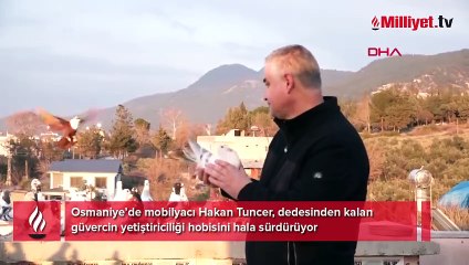 Dedesinin hobisiydi! Fiyatı 1,5 milyon liraya kadar çıkıyor: Aynı futbolcu gibi bunlar