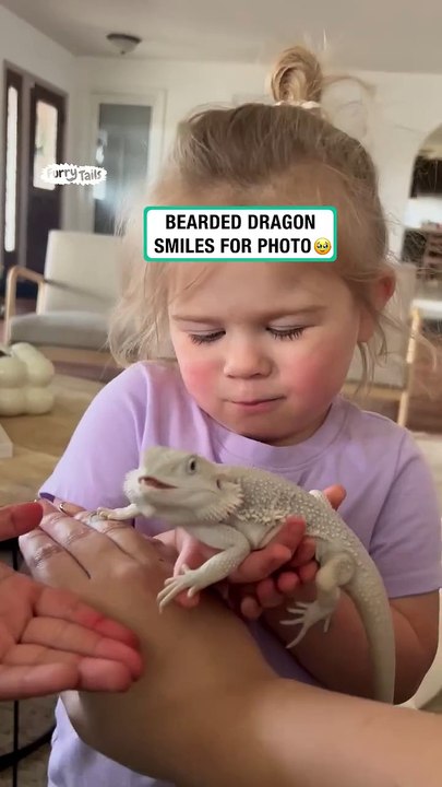 Bearded dragon smiles for photos 😊