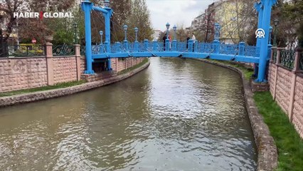 Porsuk Çayı'nda balık ölümleri görüldü