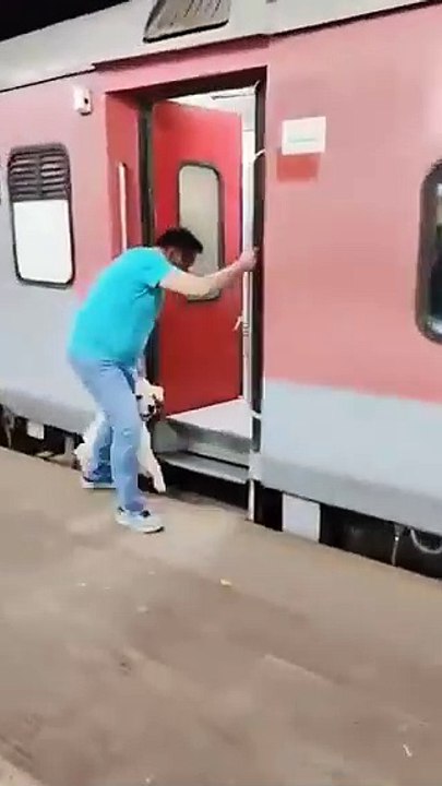 El impactante video de un perro que cayó a las vías de un tren en movimiento en India