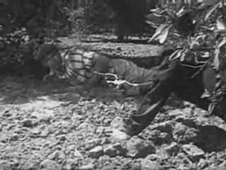 Walter Matthau Movies: Gangster Story on DVD (1960)