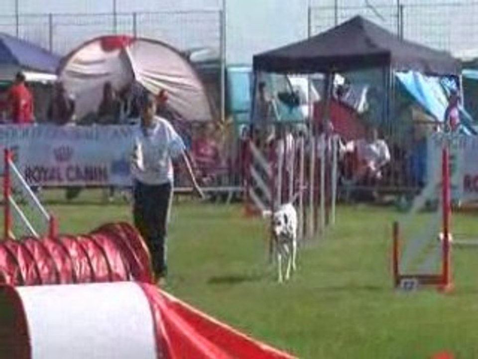 FAR MAUGUIO 2008 JUMPING SULTANE