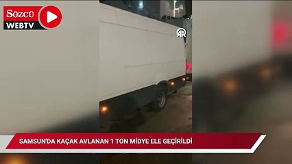 Samsun'da kaçak avlanan 1 ton midye ele geçirildi
