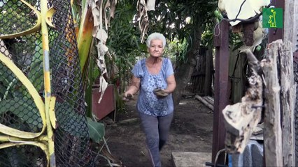 Cuba apuesta a la energía solar para intentar salir de la crisis energética