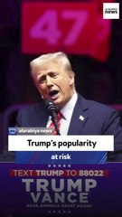 Editor: Tariffs may hurt Trump’s ratings