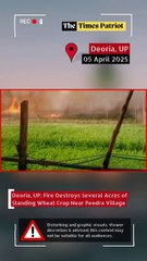 Deoria, UP: Fire Destroys Several Acres of Standing Wheat Crop Near Peedra Village